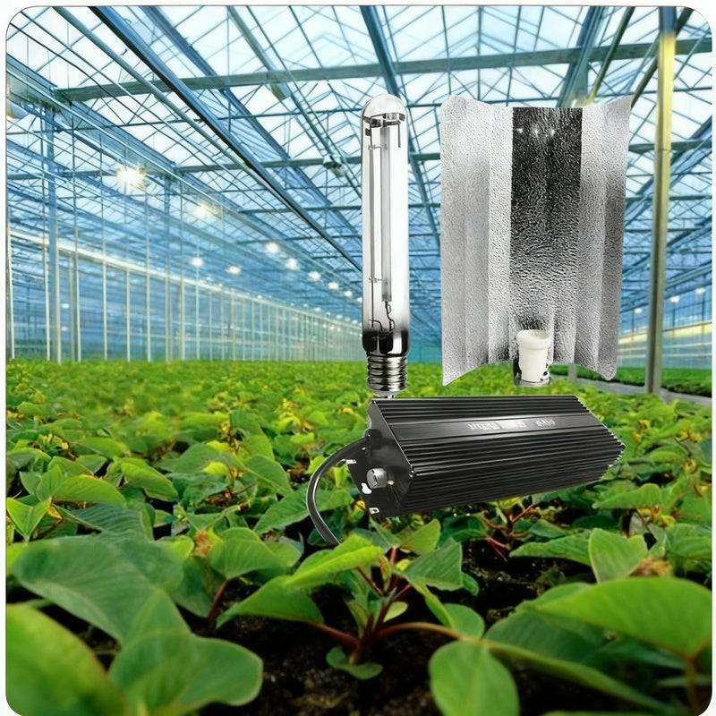 HPS-600W High Pressure Sodium Lamp for Plants