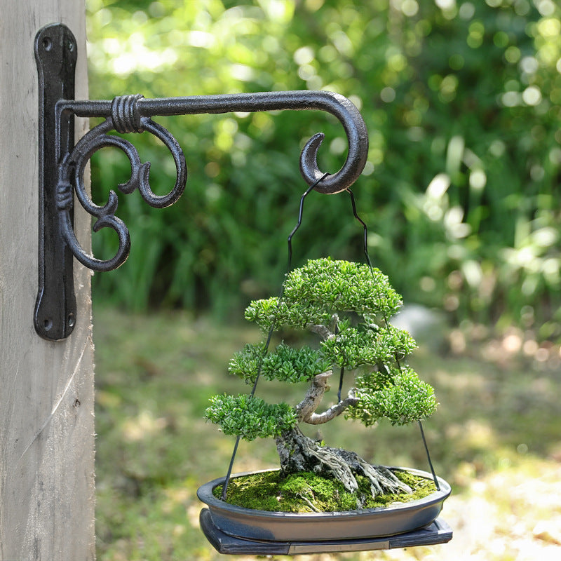 Cast iron wall hooks, American style