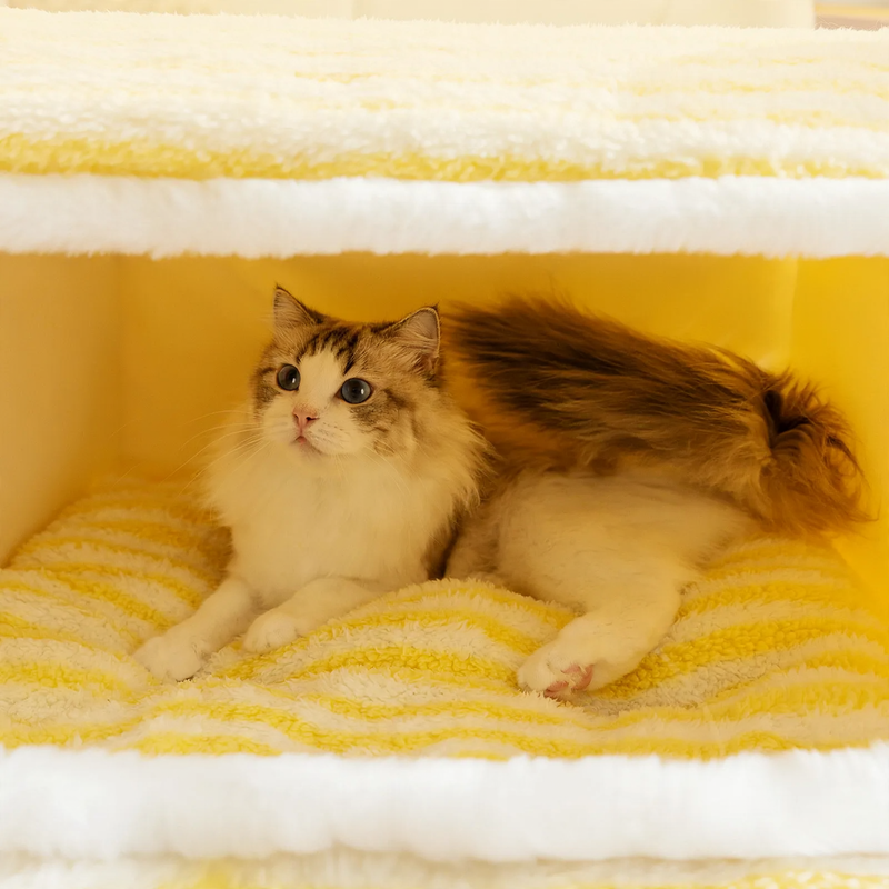 Pet cuddle cave, autumn and winter, warming