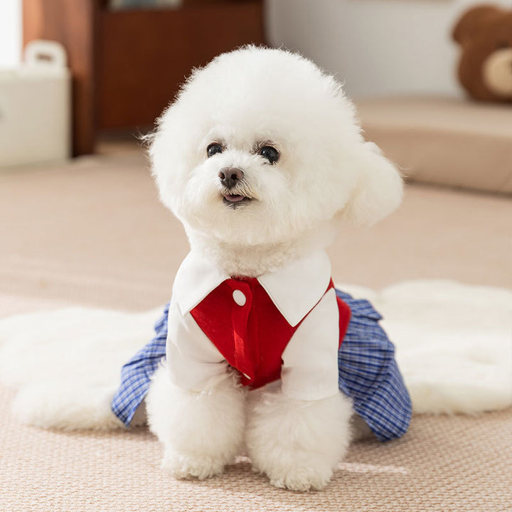 Checked dress for small dogs – Autumn and Winter