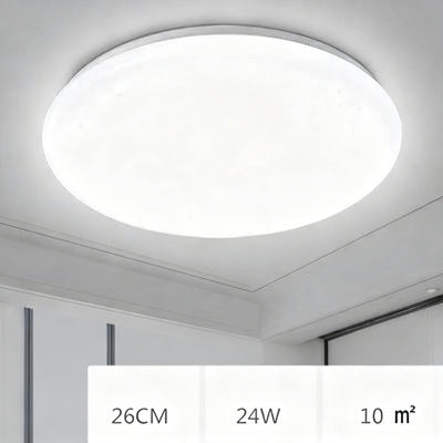 Ceiling light with LED and voice control