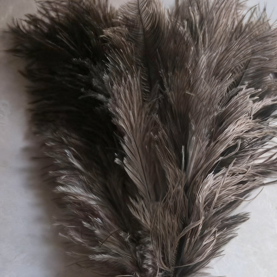 Feather duster made of ostrich feathers, extensible