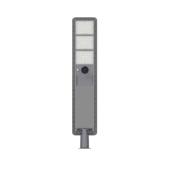 Solar path light with motion sensor, LED