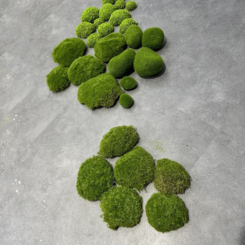 Javamoos Portion, dried