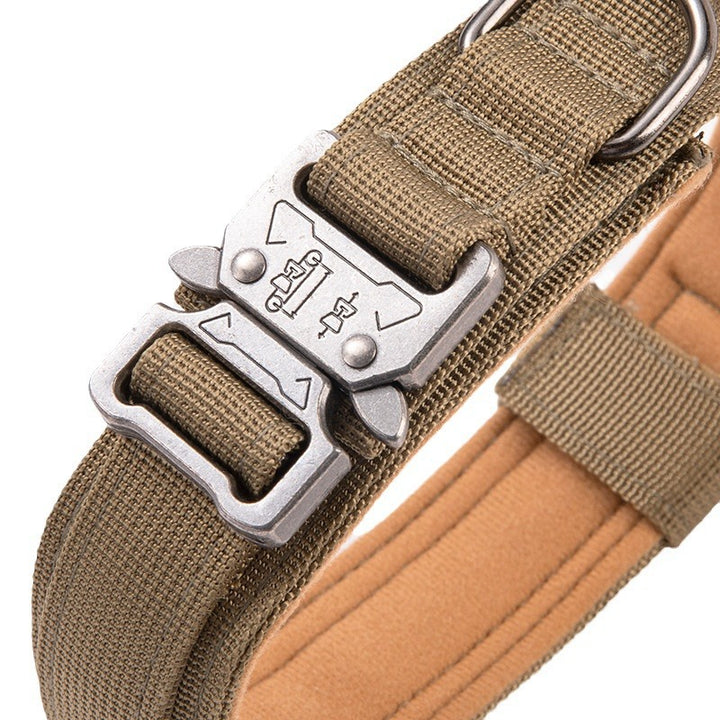 Nylon dog collar with handle
