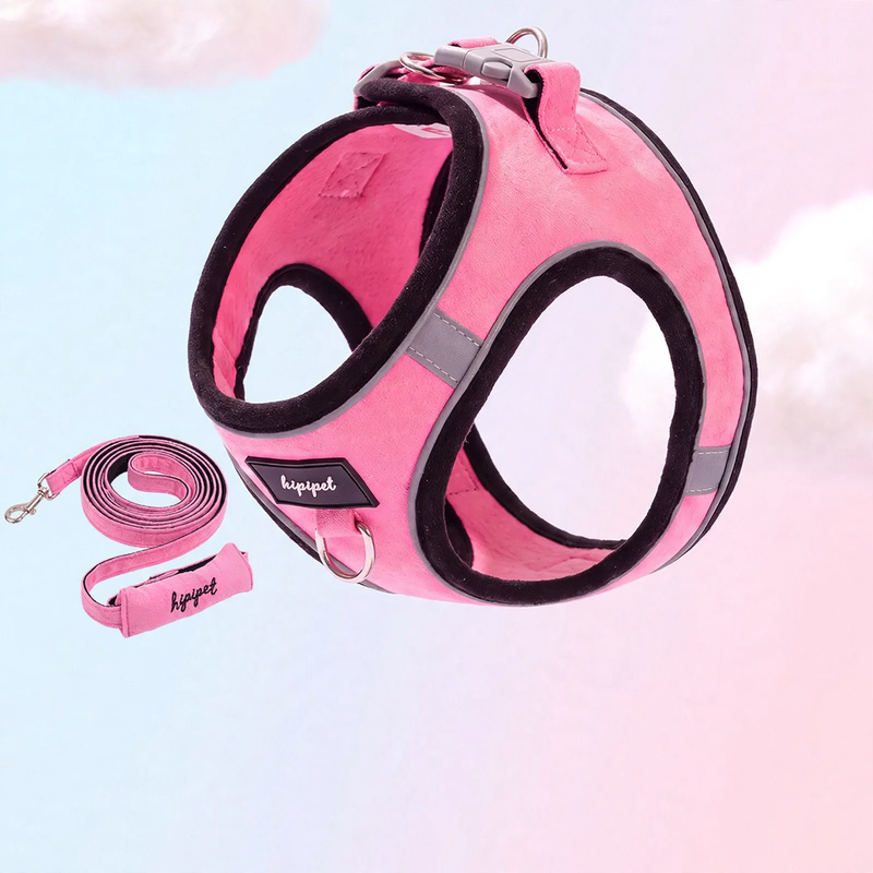 Reflective harness with leash for cats and small dogs