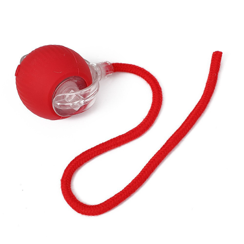 Interactive play ball for cats made of silicone