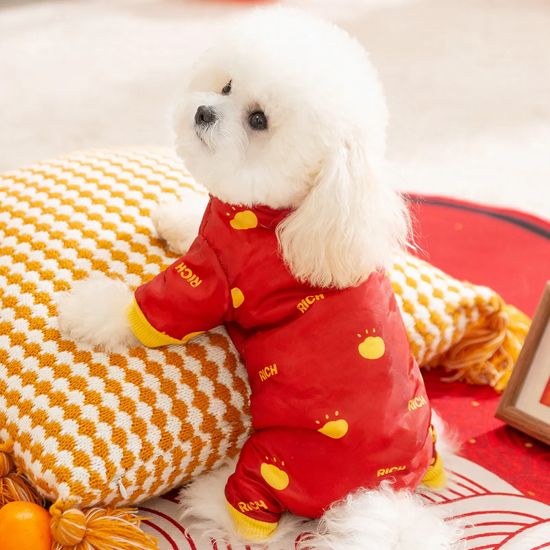 Winter coat for small dogs with harness