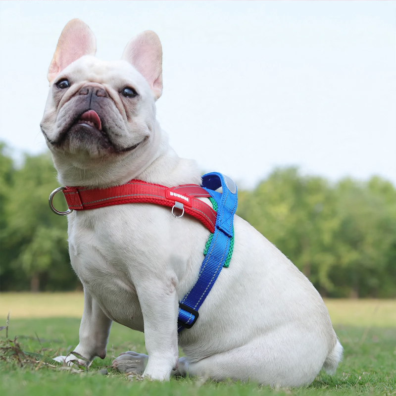 Dog harness for small dogs, mesh fabric