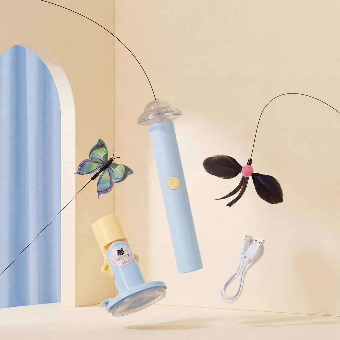 Interactive cat toy with suction cup, rechargeable