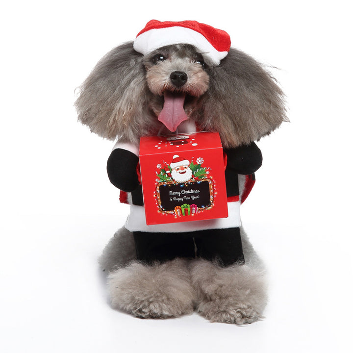 Dog clothing with costume design, polyester