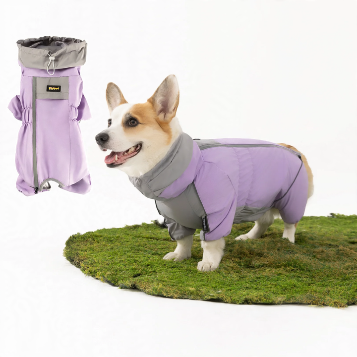 Padded winter jacket for dogs