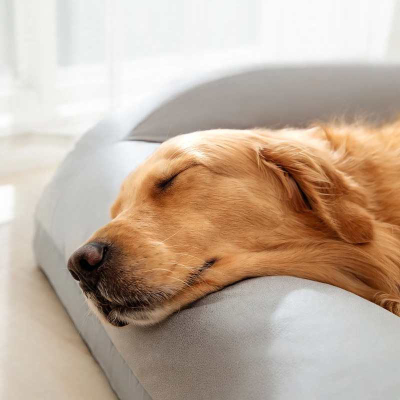 Dog sofa, summer, with backrest and neck pillow