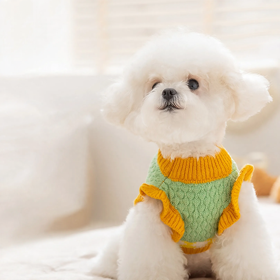 Knitted sweater for dogs and cats, pineapple pattern