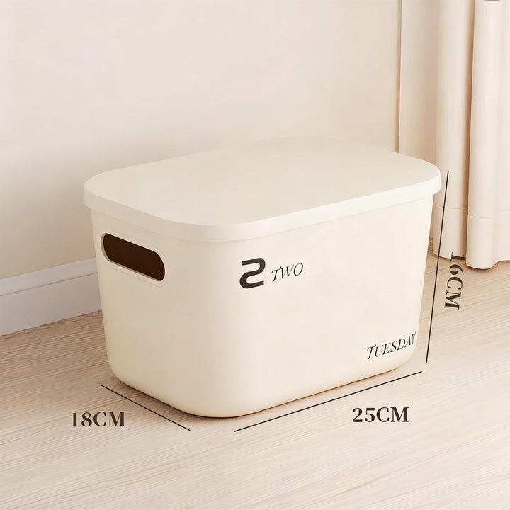 Plastic storage box with lid, medium size