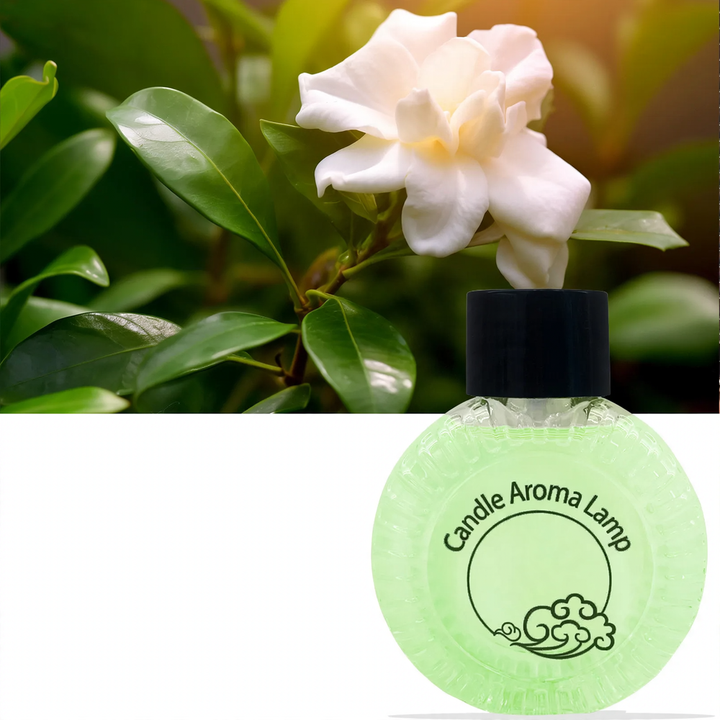 Ultrasonic Aroma Diffuser LA-0643 with Battery