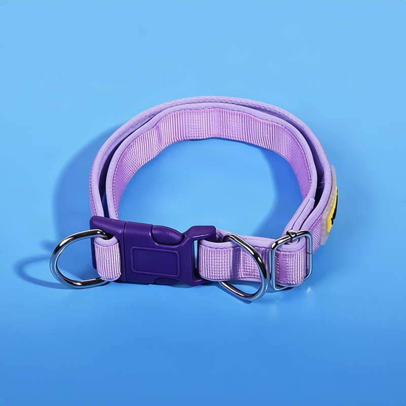 Dog collar made of polypropylene