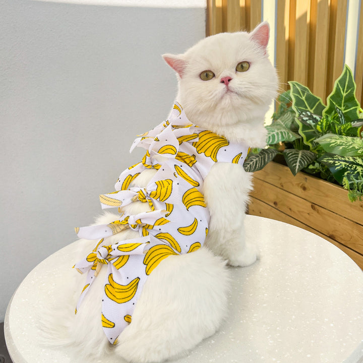 Protective clothing for pets after surgeries