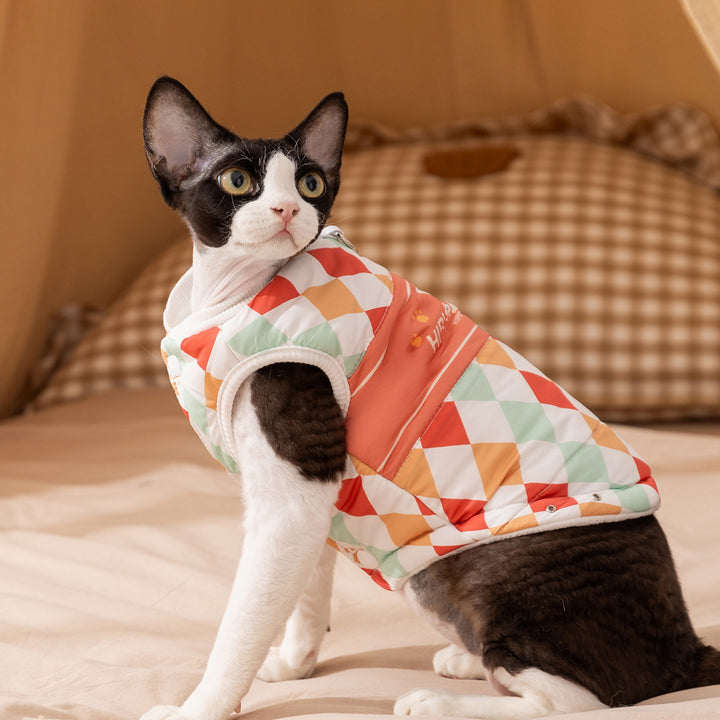 Cat sweater, checked, warming