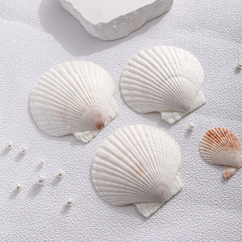 Scented candle soy wax, shell shape, handmade