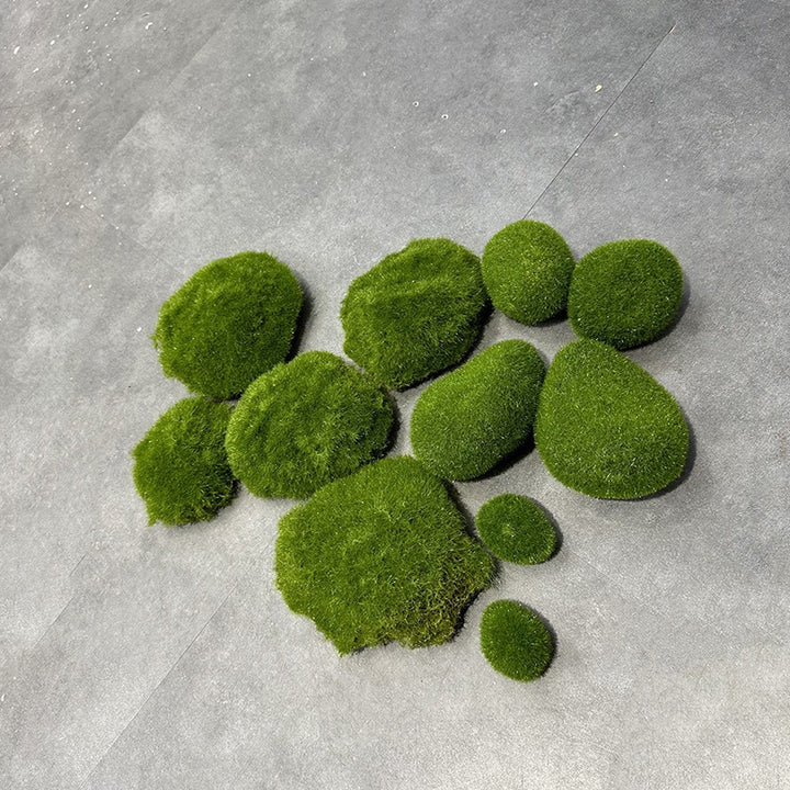 Javamoos Portion, dried