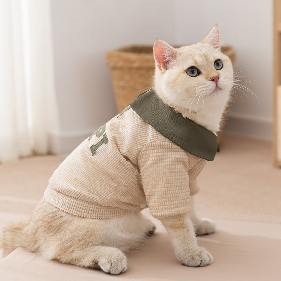 Dog winter jacket, cord, shawl collar, two legs