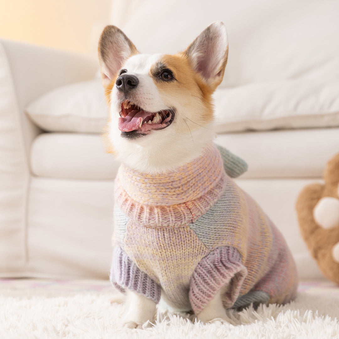 Rainbow sweater for dogs, four seasons