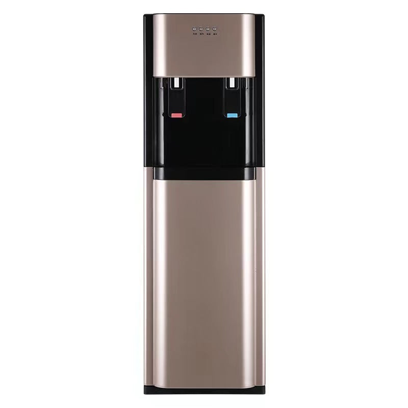 Water dispenser with ice function, model F1