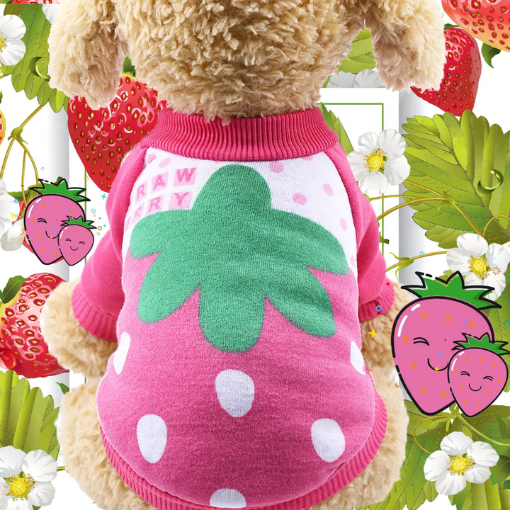 Fleece Pullover for Dogs – Autumn and Winter