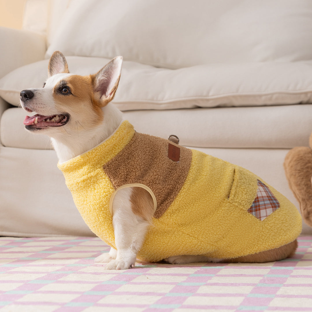 Dog Hoodie Fleece, Contrasting Colors, Two-Arm