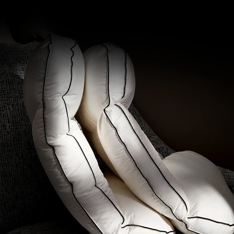 Goose down pillow, Rectangular, 48×74 cm