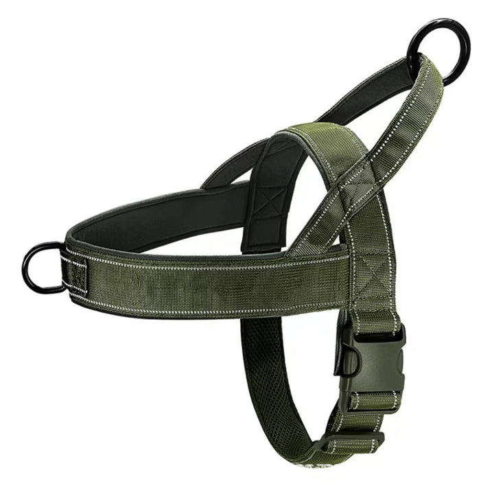 Cat harness padded, adjustable
