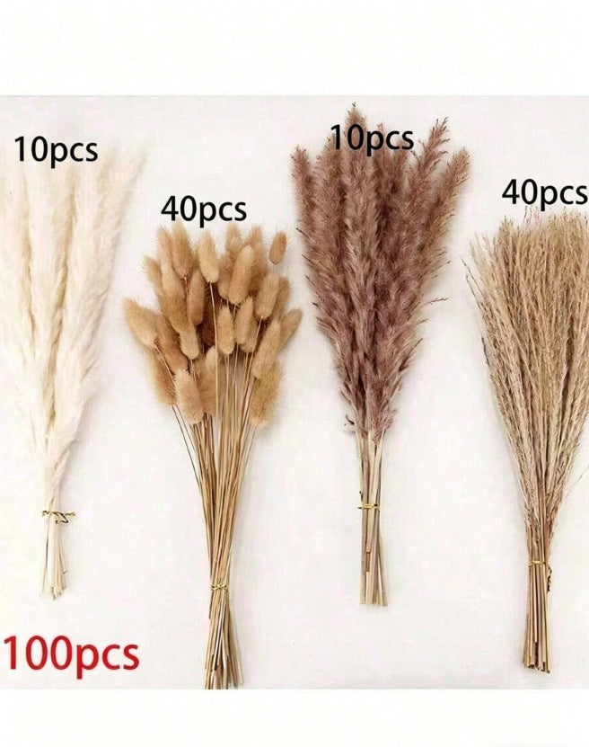 Bleached pampas grass, 145 cm, 10 pieces