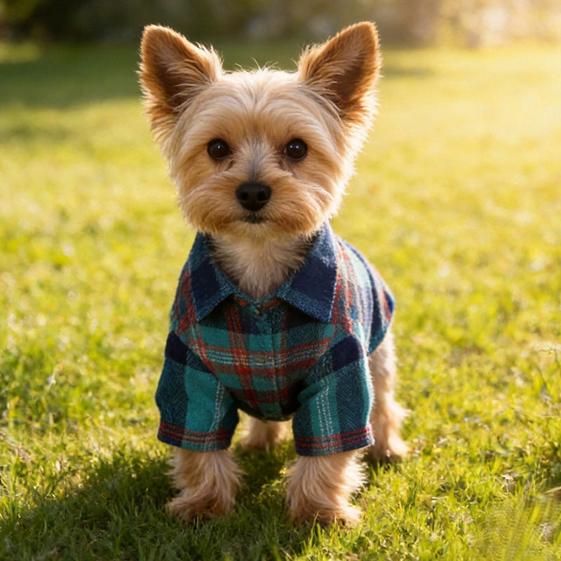 Dog coat Dachshund Brooklyn Waxed Tartan