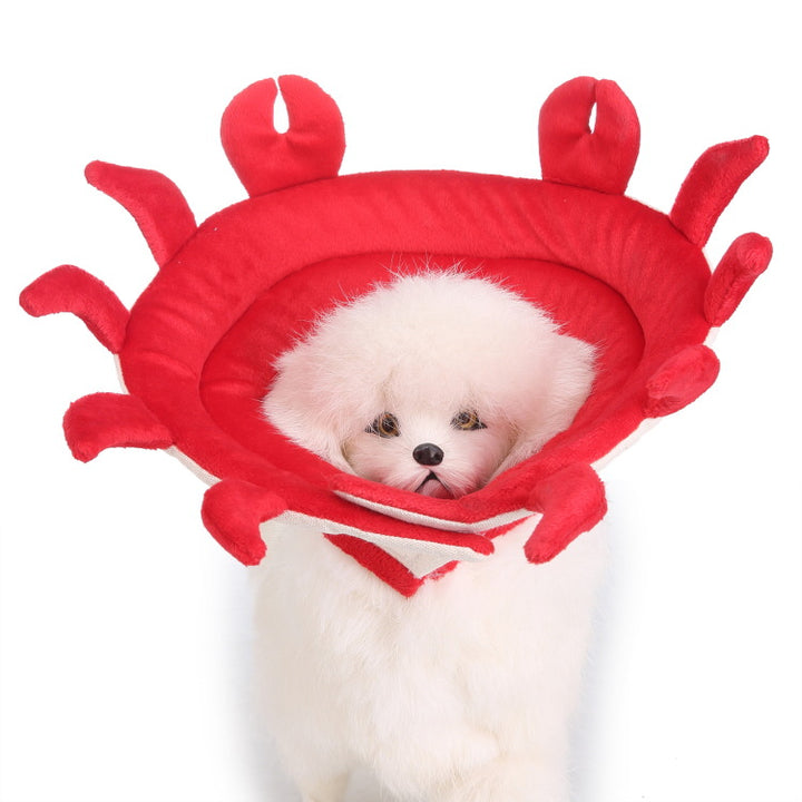 Protective collar for dogs and cats