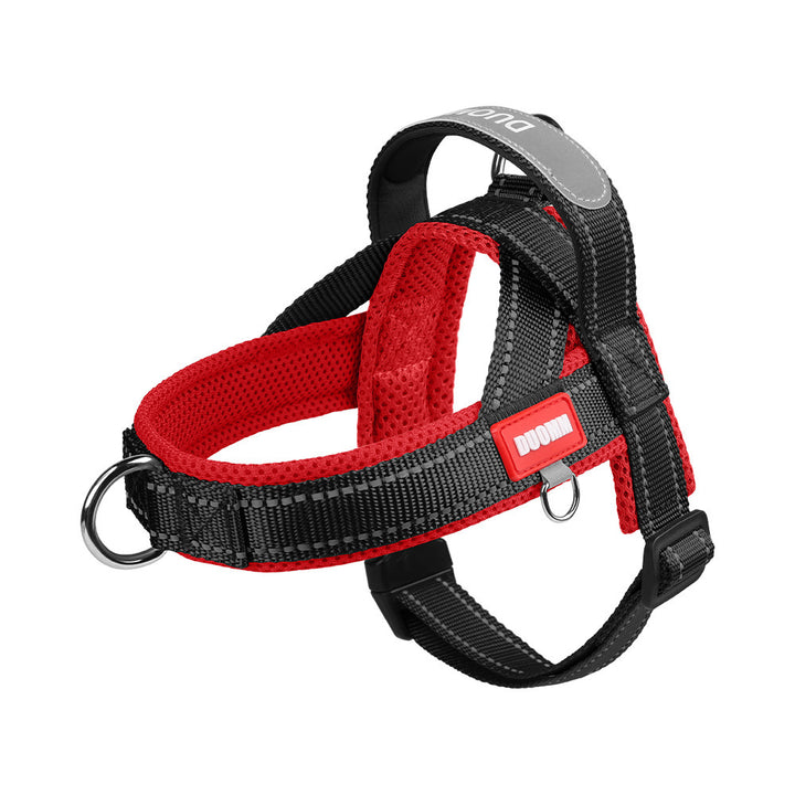Padded dog harness with leash