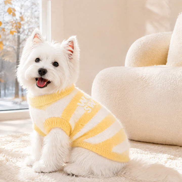 Knitted sweater for pets, two-armed, striped pattern