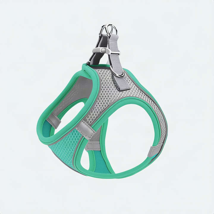 Dog harness made of fabric with leash, XS to XL
