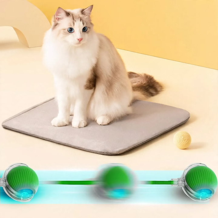 Interactive cat toy with tail