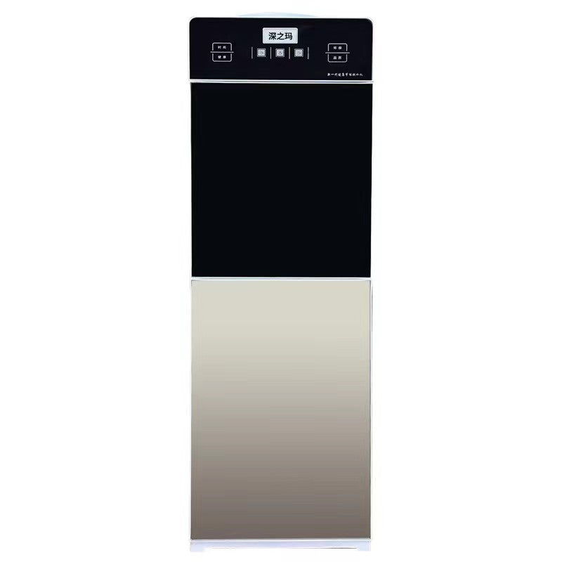 Water dispenser with ice function, model F1
