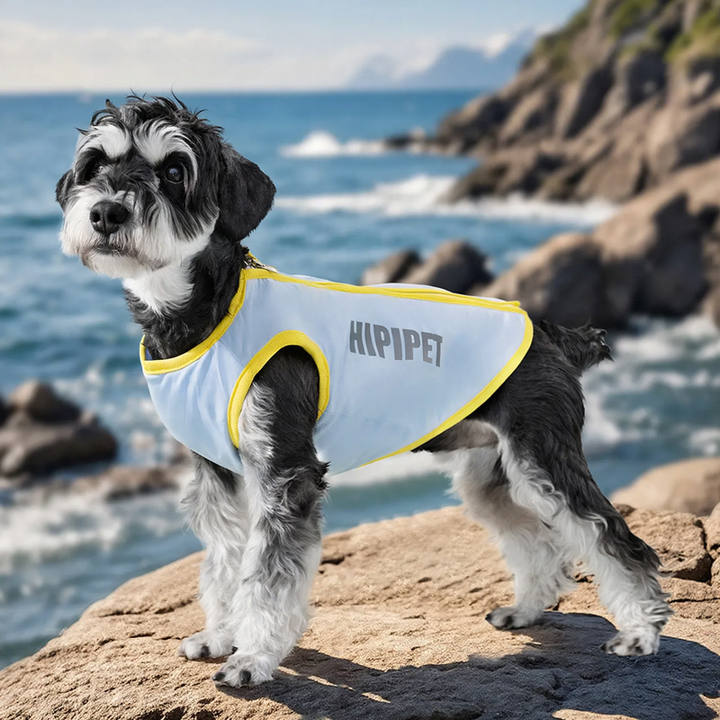Light cooling clothing for dogs, Spring/Summer