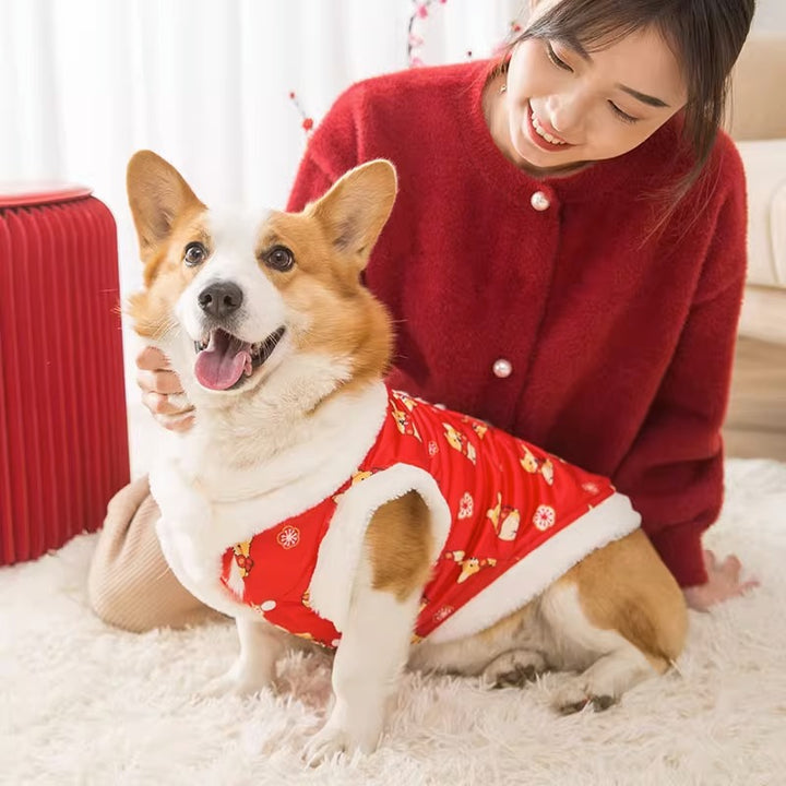 Chinese style dog suit, two-piece