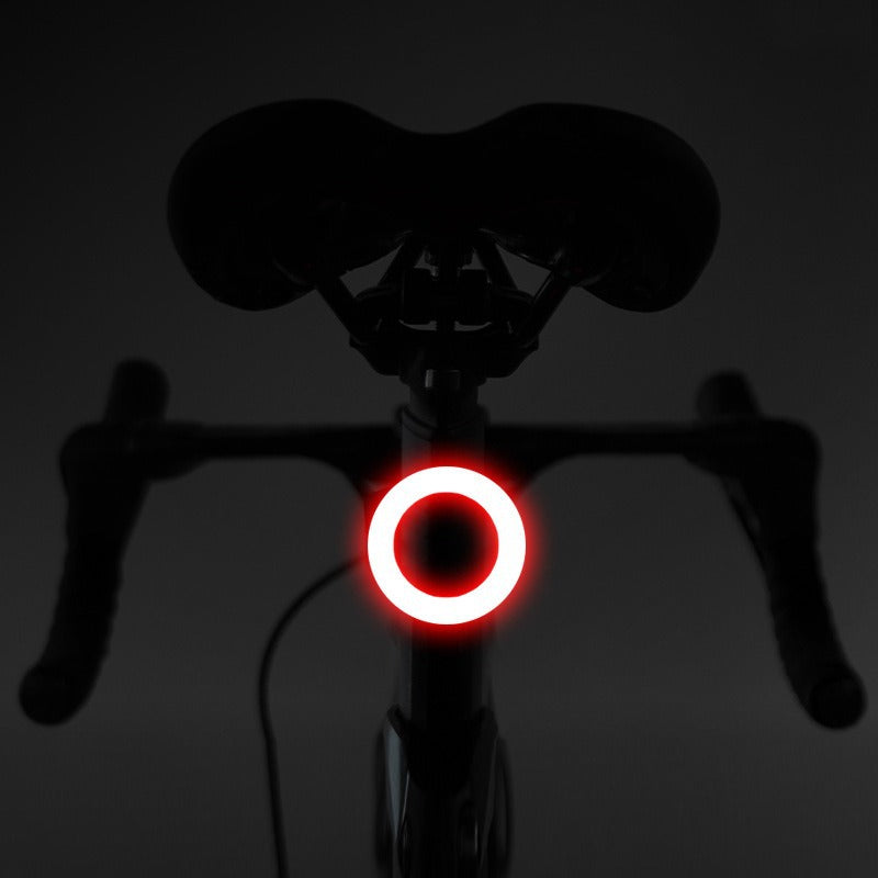 LED bicycle light with USB charging