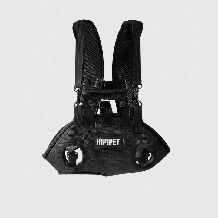 Backpack for dogs and cats, portable