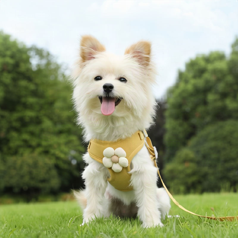 Dog harness made of fabric with leash, XS to XL