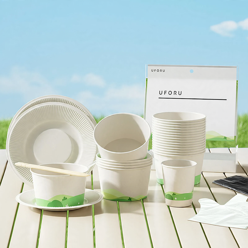 Disposable tableware set, 6 or 10 pack, portable