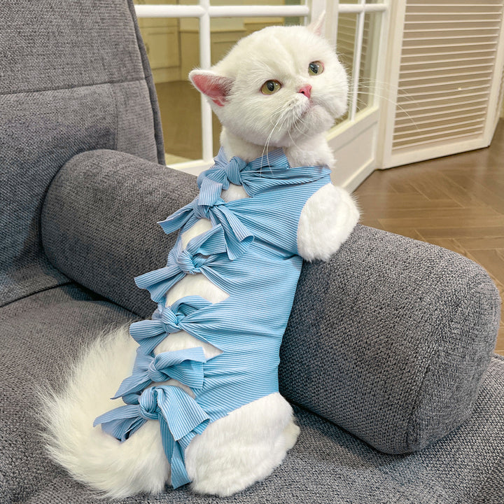 Protective clothing for pets after surgeries