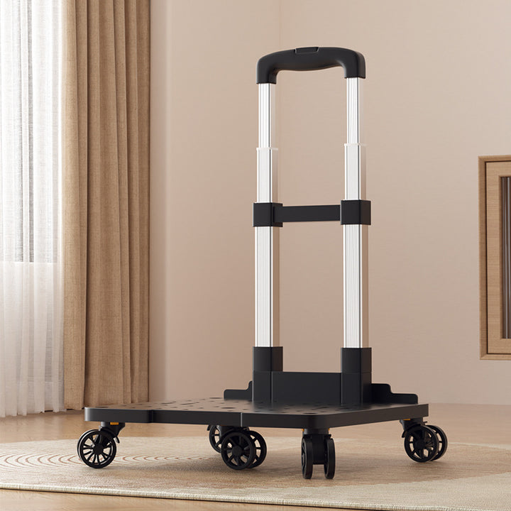 Pet transport box with wheels