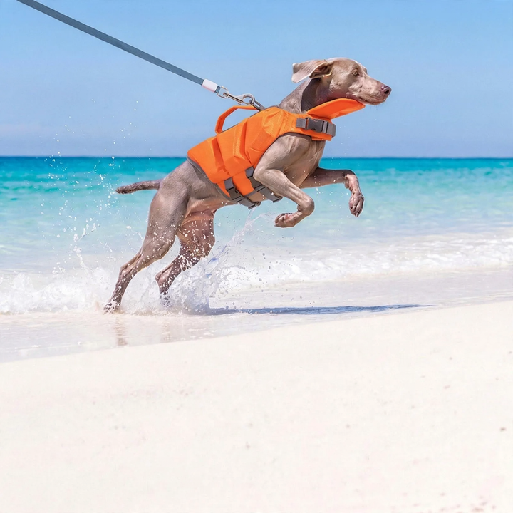 Life jacket for dogs, summer, various sizes