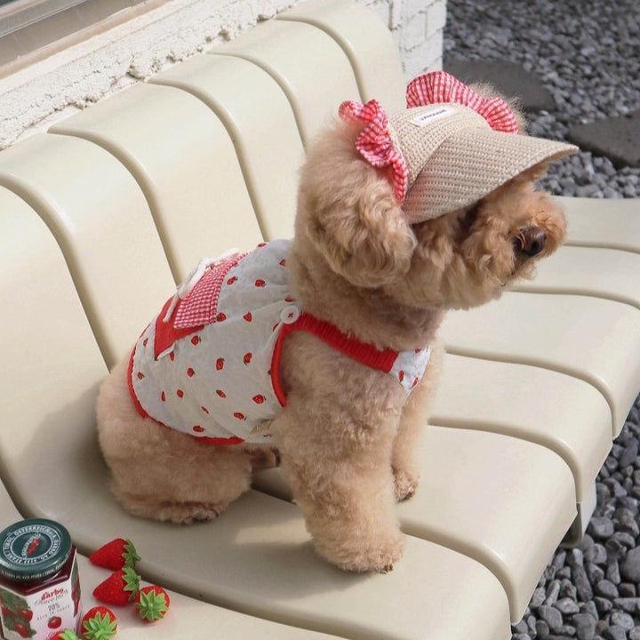 Dog strap dress with hat, summer, 2-piece